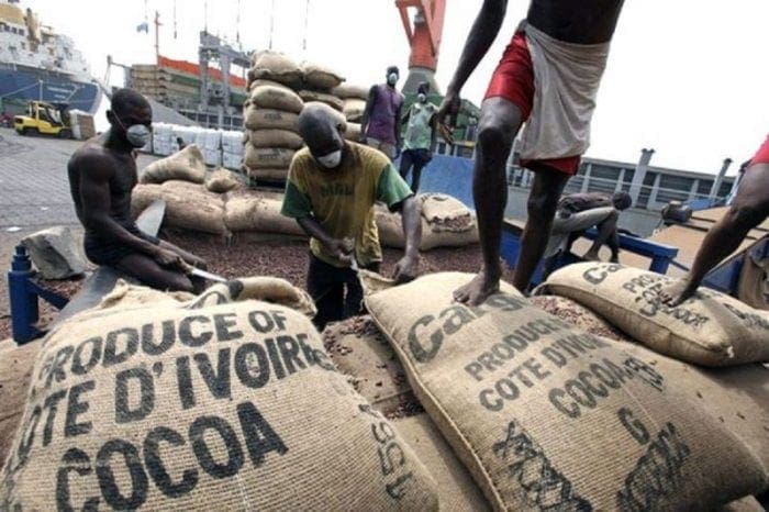 Cacao ivoirien: «Accord» en vue d’un prix garanti d’environ 1 000 Fcfa/Kg