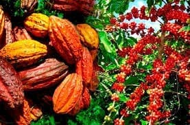 Les syndicats de producteurs lèvent la grève