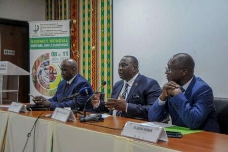 Caoutchouc Naturel : Abidjan abritera le premier sommet mondial virtuel