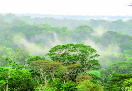 Côte d’Ivoire : L’ouest ivoirien, le futur eldorado