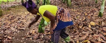 COP28 : Financement innovant pour promouvoir l’agriculture intelligente en Afrique de l’ouest
